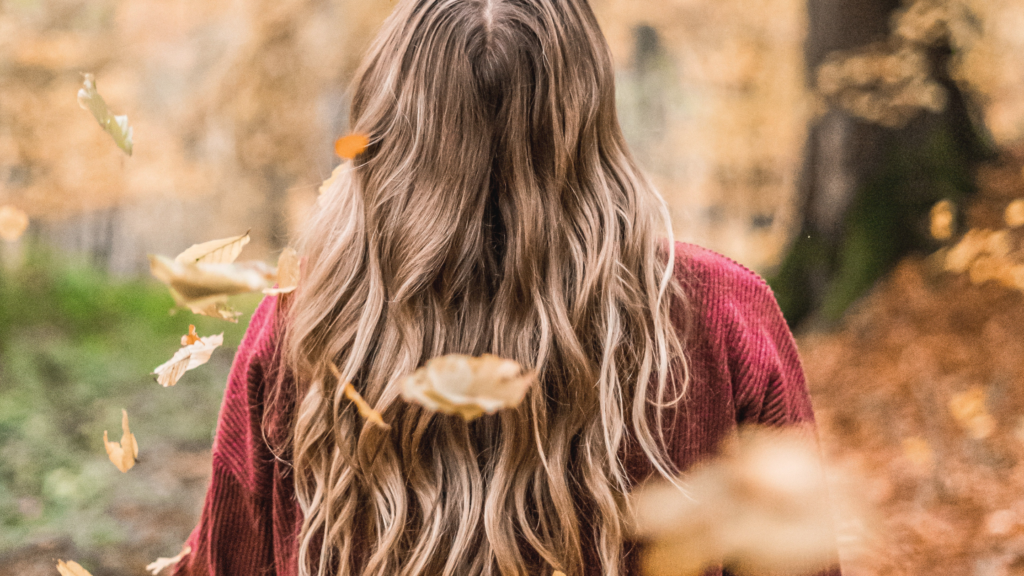 cheveux en automne